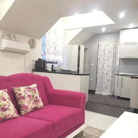 דירה Apartman Aleyna *