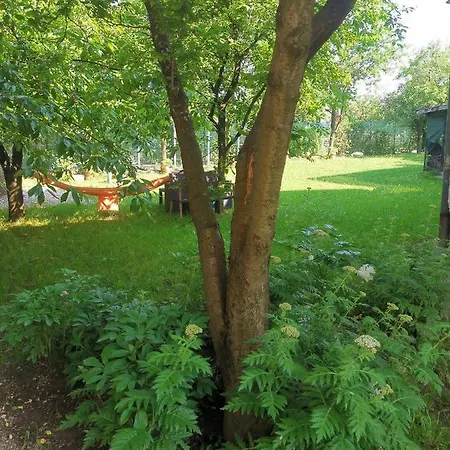 Apartman Aleyna * Hrasnica