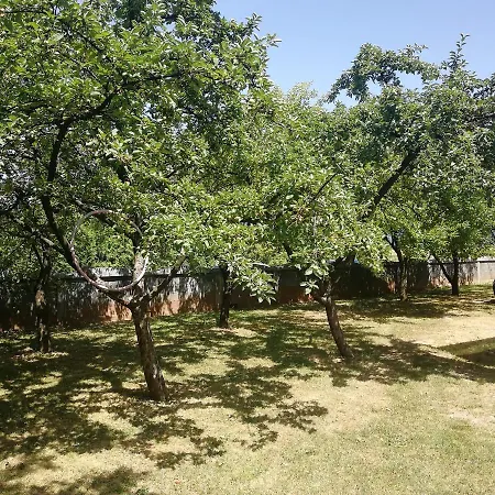 דירה Apartman Aleyna *