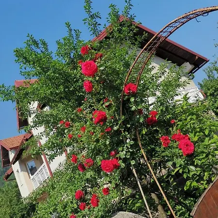 Apartman Aleyna *