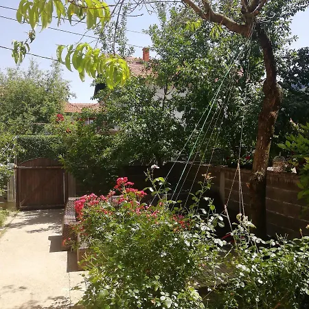 דירה Apartman Aleyna *