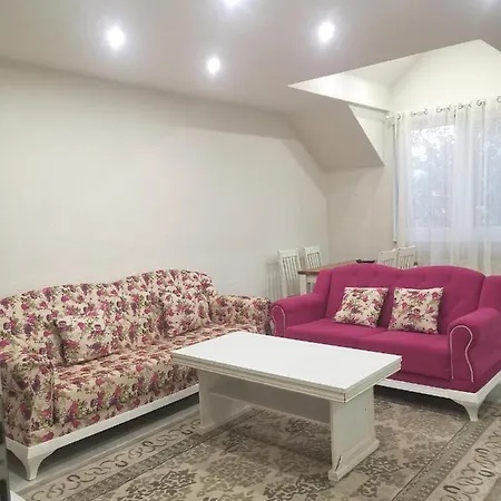 Apartman Aleyna *